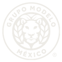 Grupo Modelo